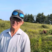 Greg Judy with his cattle foraging.